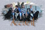 retour accueil site